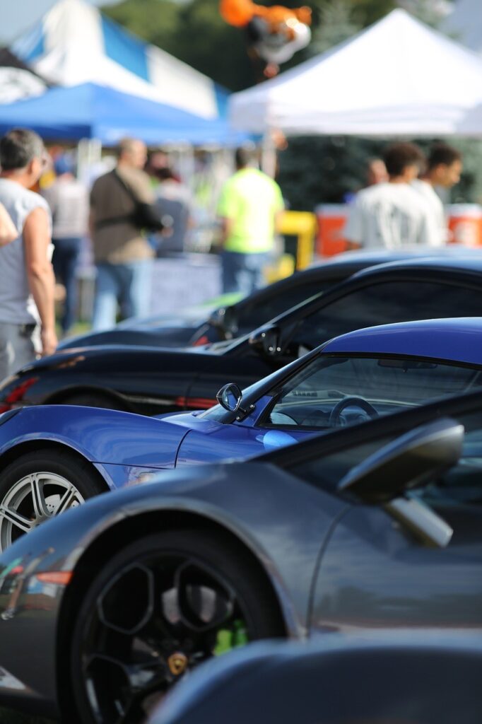 Apertura de vehiculos Luzmela